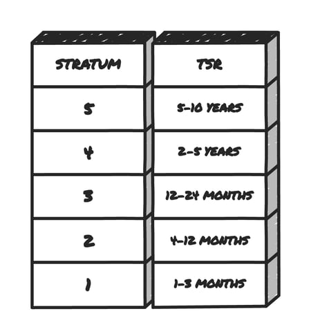 A table has two vertical columns. The left is titles Stratum and the right is titled TSR. 