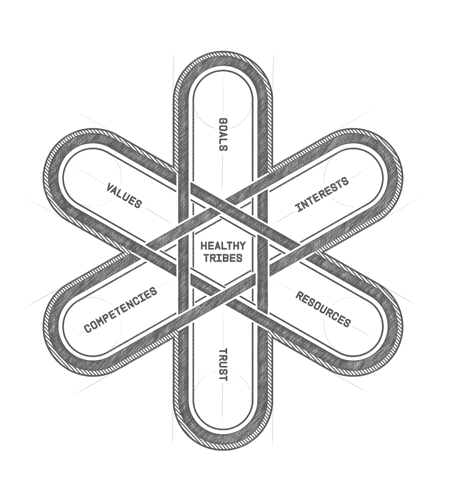 a diagram of three interlocking ovals with the words healthy tribes in the center. values goals interests resources trust and competencies surround it